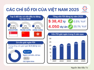 Các chỉ số FDI của Việt Nam 2025