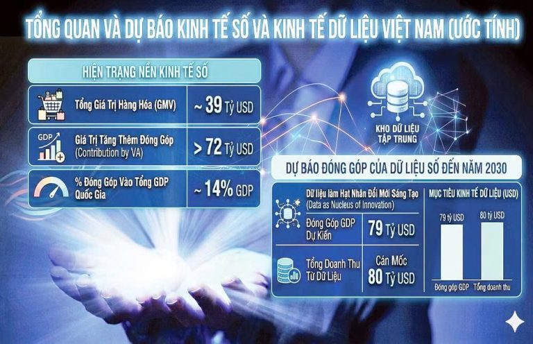 Read more about the article Việt Nam trong cuộc đua kinh tế dữ liệu